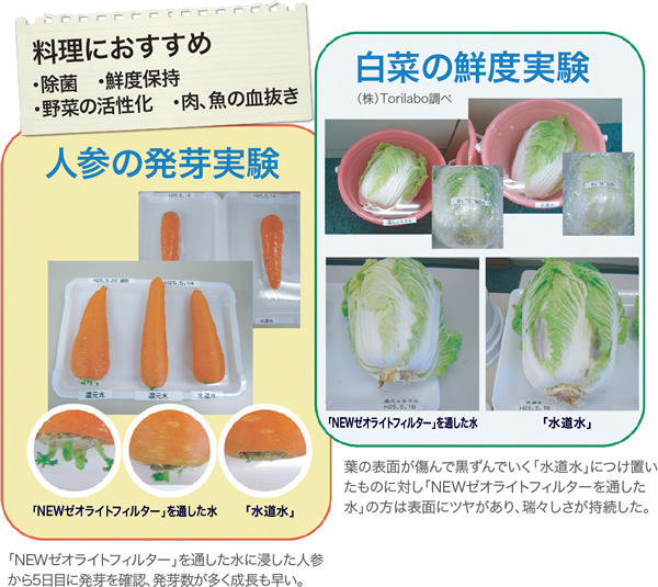 ゼオライトフィルターを通した水と水道水による野菜の比較